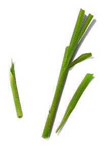 Madecassoside (and) Asiaticoside