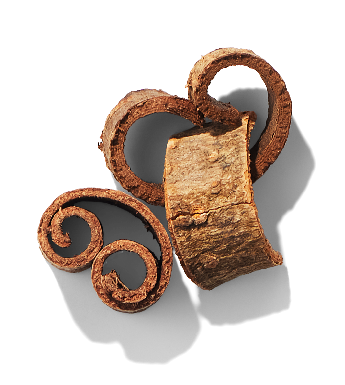 Magnolia Bark Extract