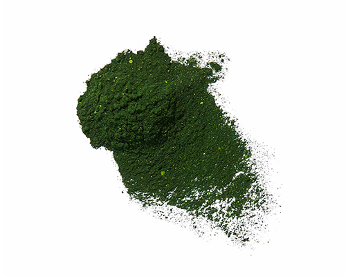 Nannochloropsis Oculata Extract