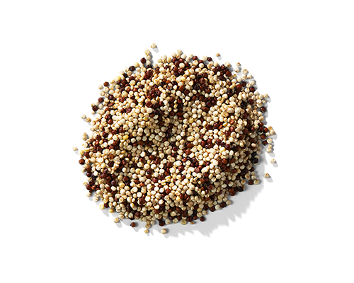 Quinoa Protein