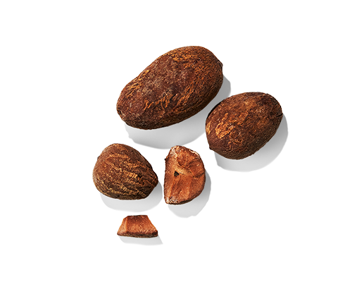 Shea Butter Derivative